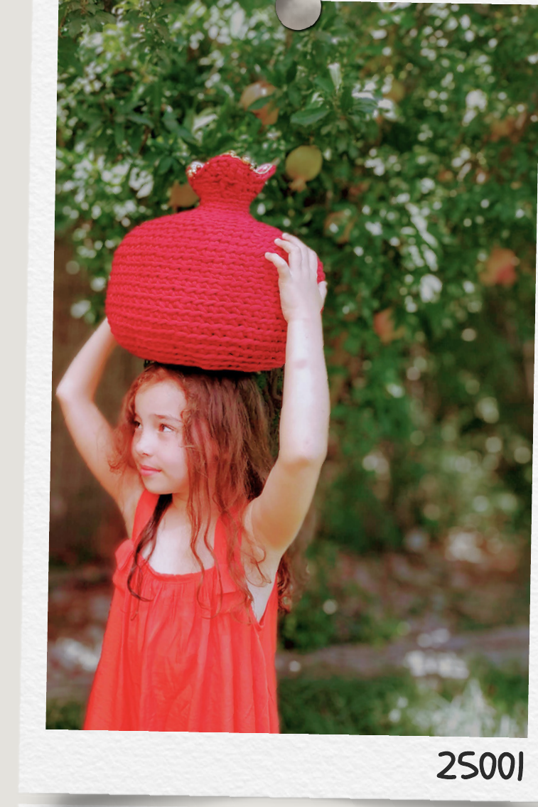 כריות סרוגות — אוסף שני | Crocheted Pillows — Collection 2